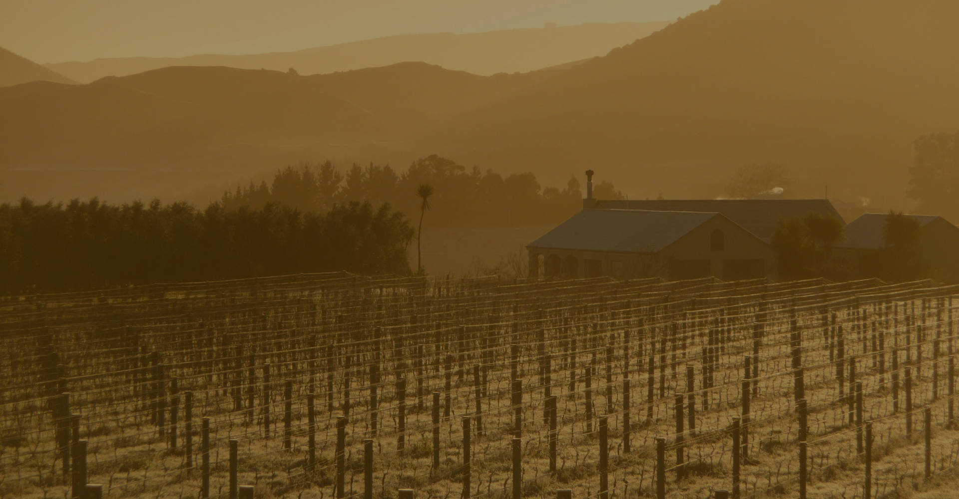 Subscribe to Blue Earth Estate newsletter